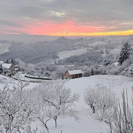 Vila Wine Panorama House Jastrebarsko Exteriér fotografie