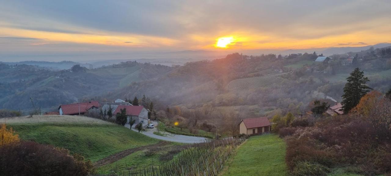Vila Wine Panorama House Jastrebarsko Exteriér fotografie
