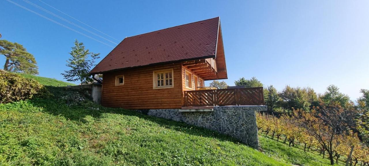 Vila Wine Panorama House Jastrebarsko Exteriér fotografie