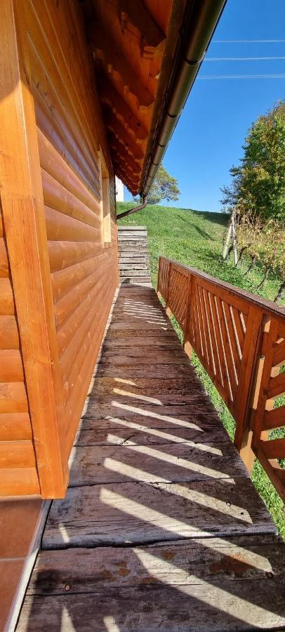 Vila Wine Panorama House Jastrebarsko Exteriér fotografie