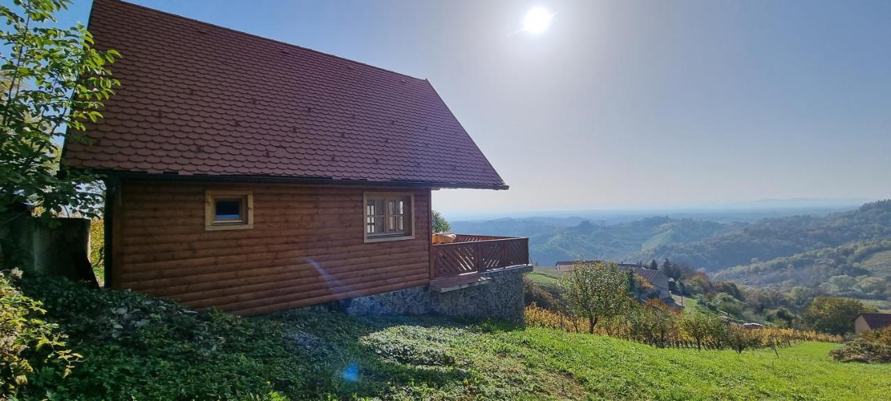 Vila Wine Panorama House Jastrebarsko Exteriér fotografie