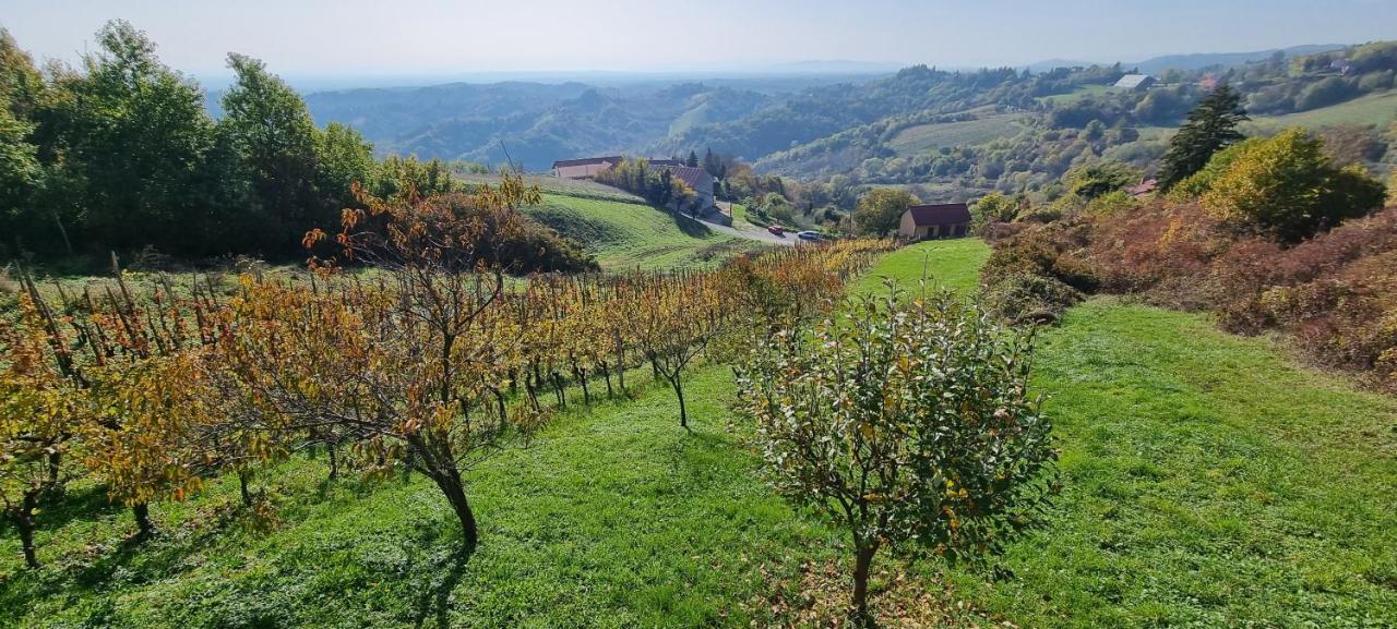 Vila Wine Panorama House Jastrebarsko Exteriér fotografie