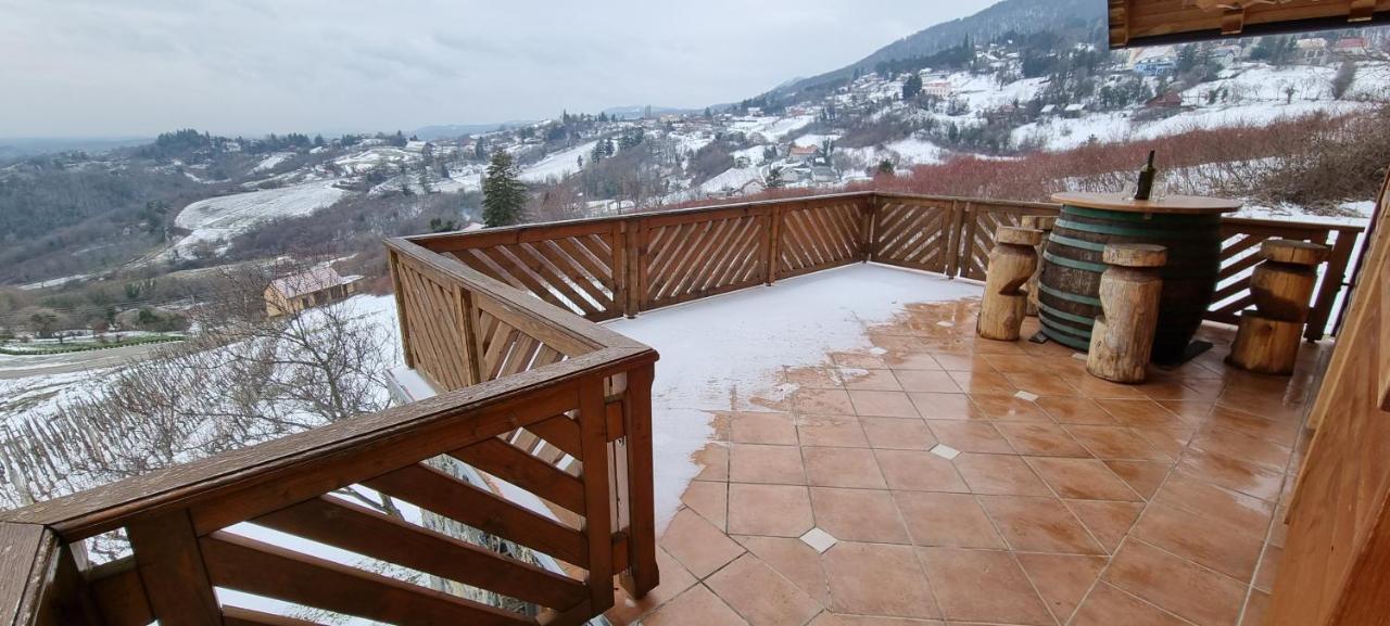 Vila Wine Panorama House Jastrebarsko Exteriér fotografie