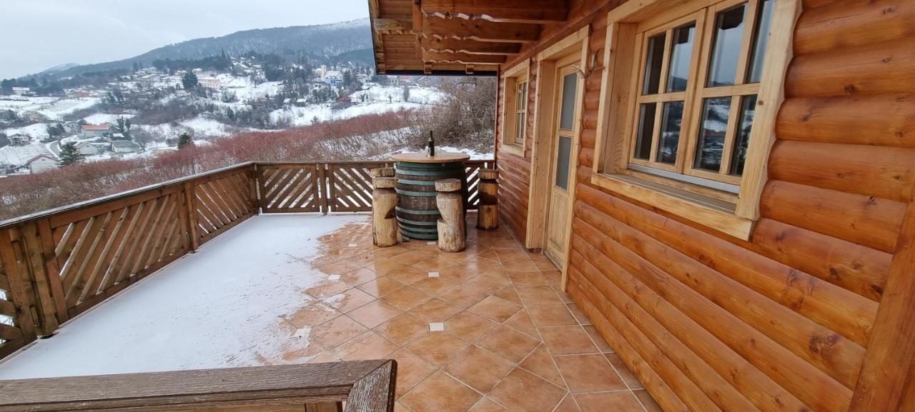 Vila Wine Panorama House Jastrebarsko Exteriér fotografie