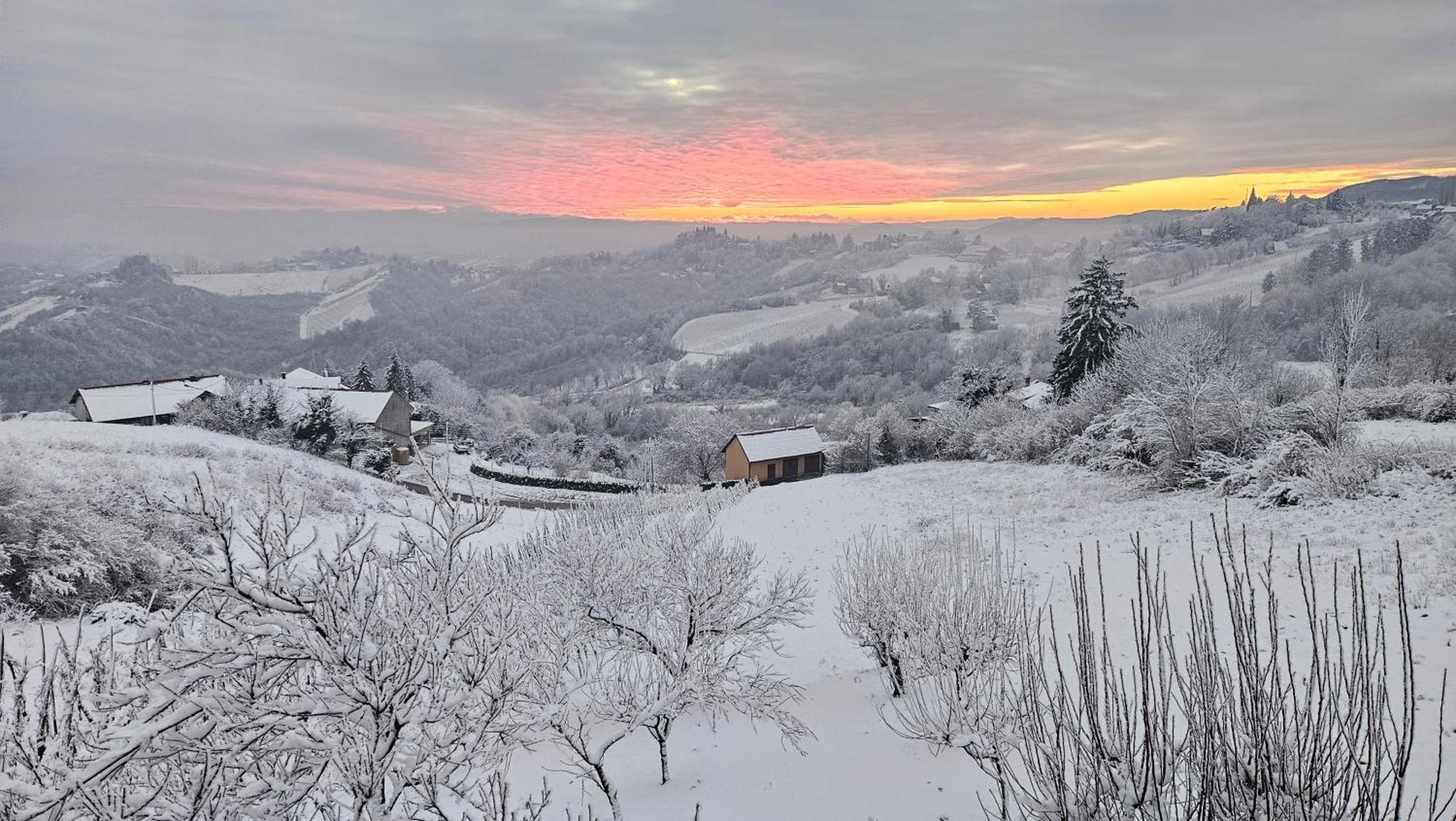 Vila Wine Panorama House Jastrebarsko Exteriér fotografie